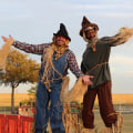Volunteering with Music Associations in Irving, TX: A Music Expert's Perspective